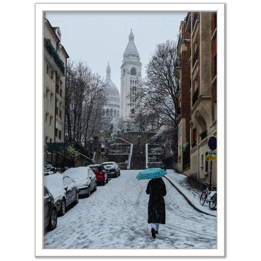 January in Paris - Janvier à Paris